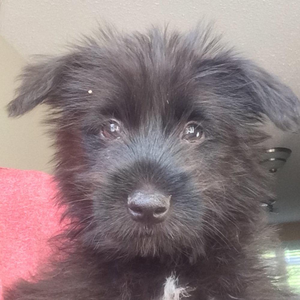 Meet your Posher, MJ!